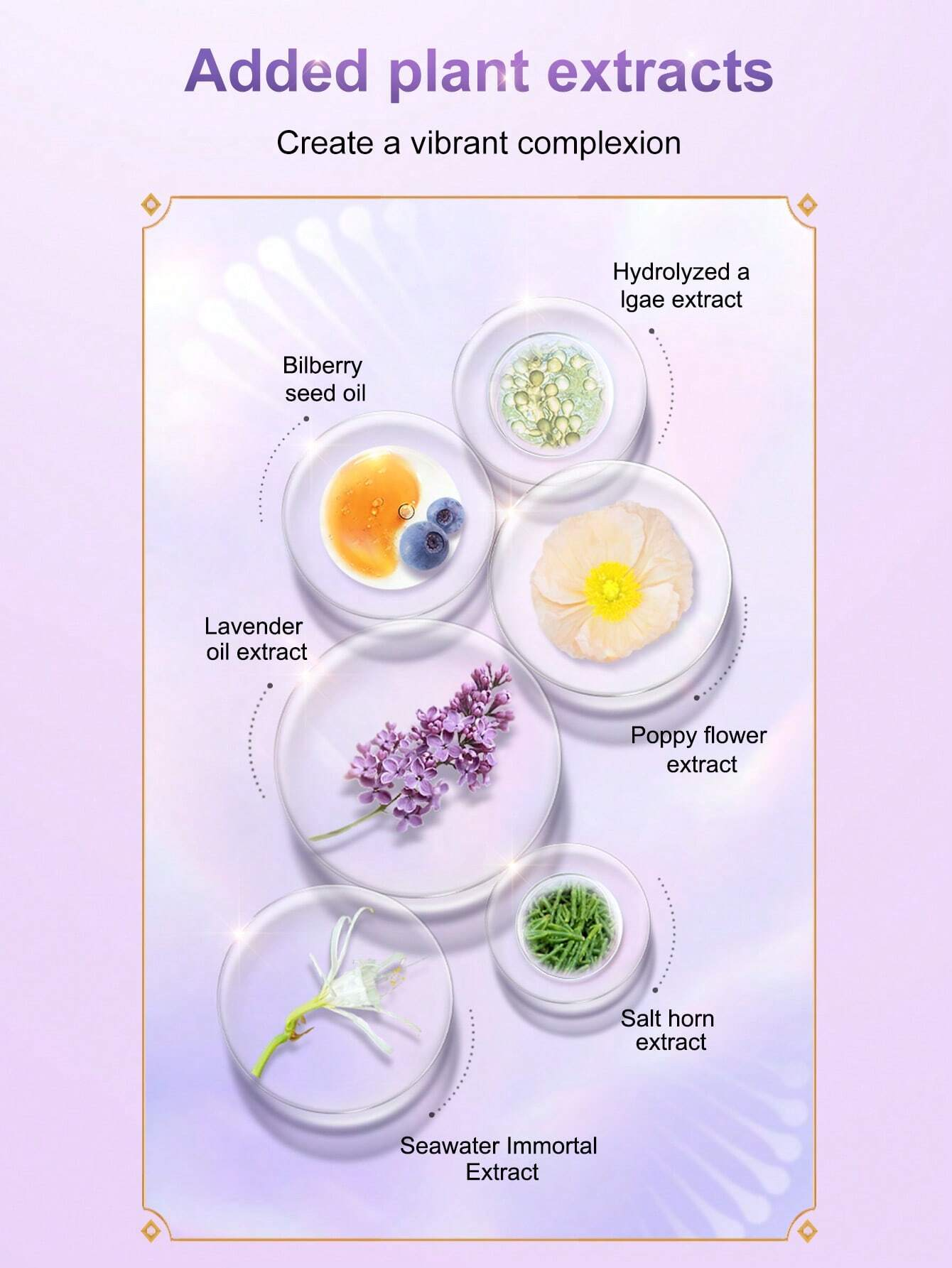 ZEESEA Sheer Hydrating Tone-Up Primer